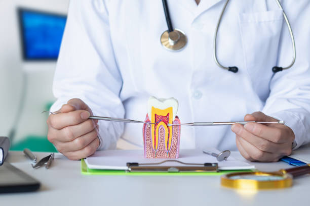 Best Walk-In Emergency Dentist in Colfax, IL